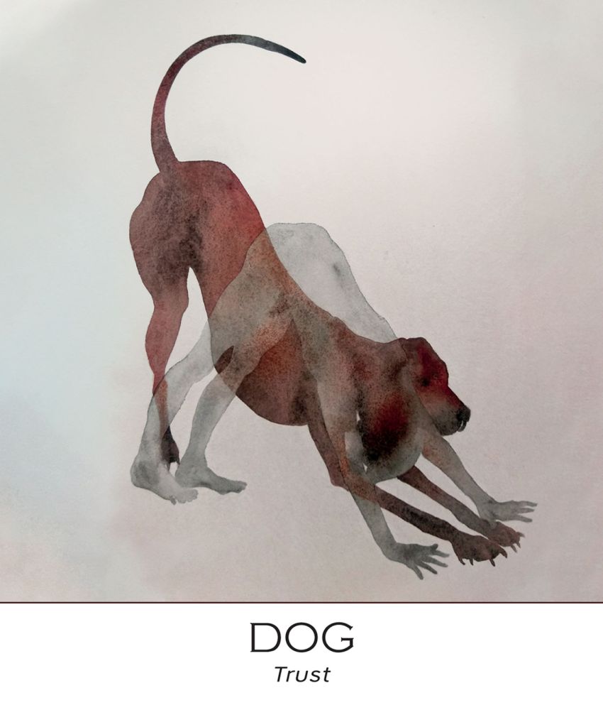 Nature & Soul Yoga Wisdom Cards