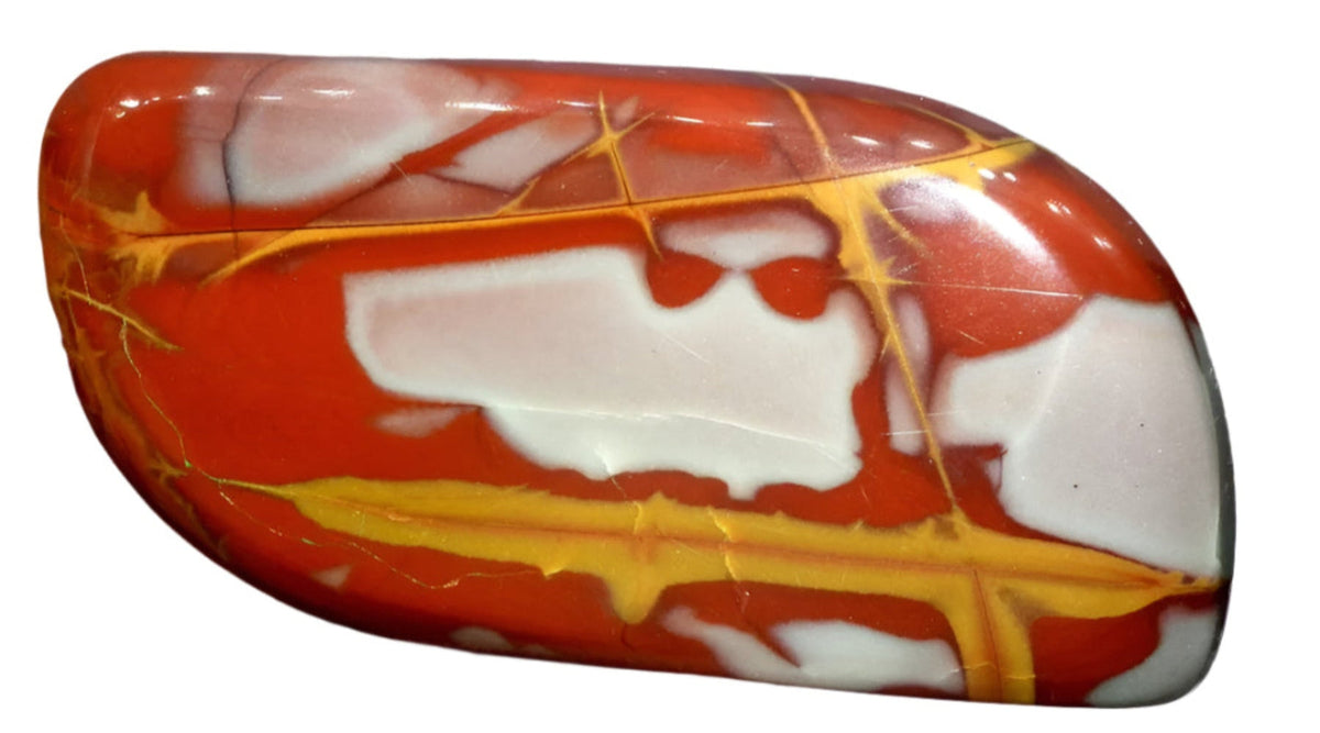 Noreena Jasper Tumbled