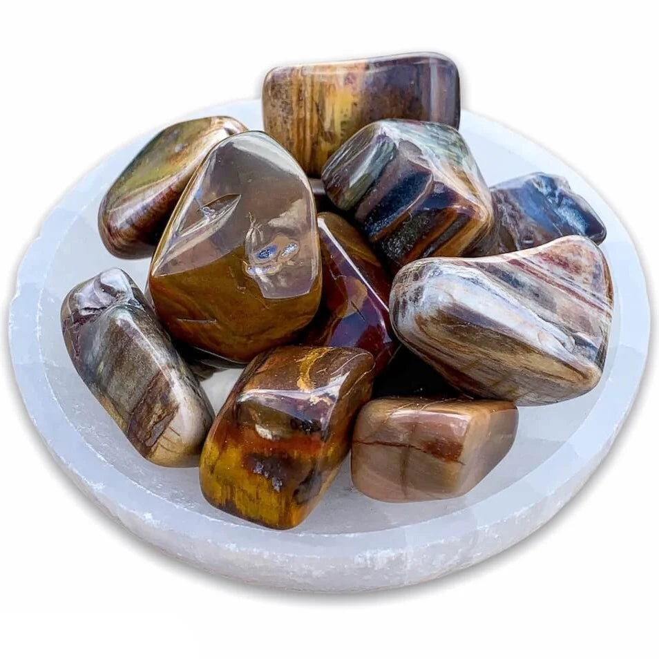 Petrified Wood Polished
