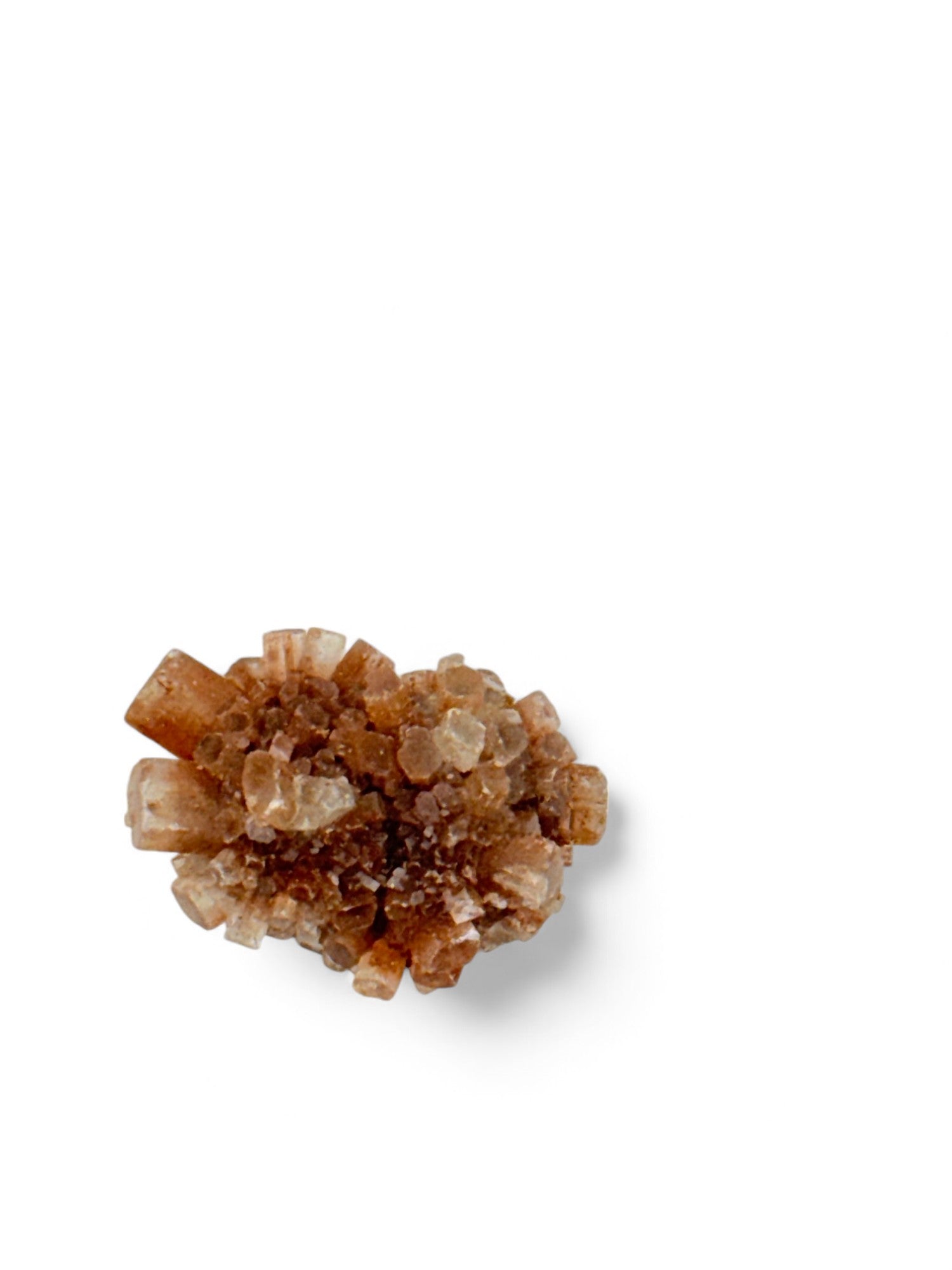 Star Aragonite