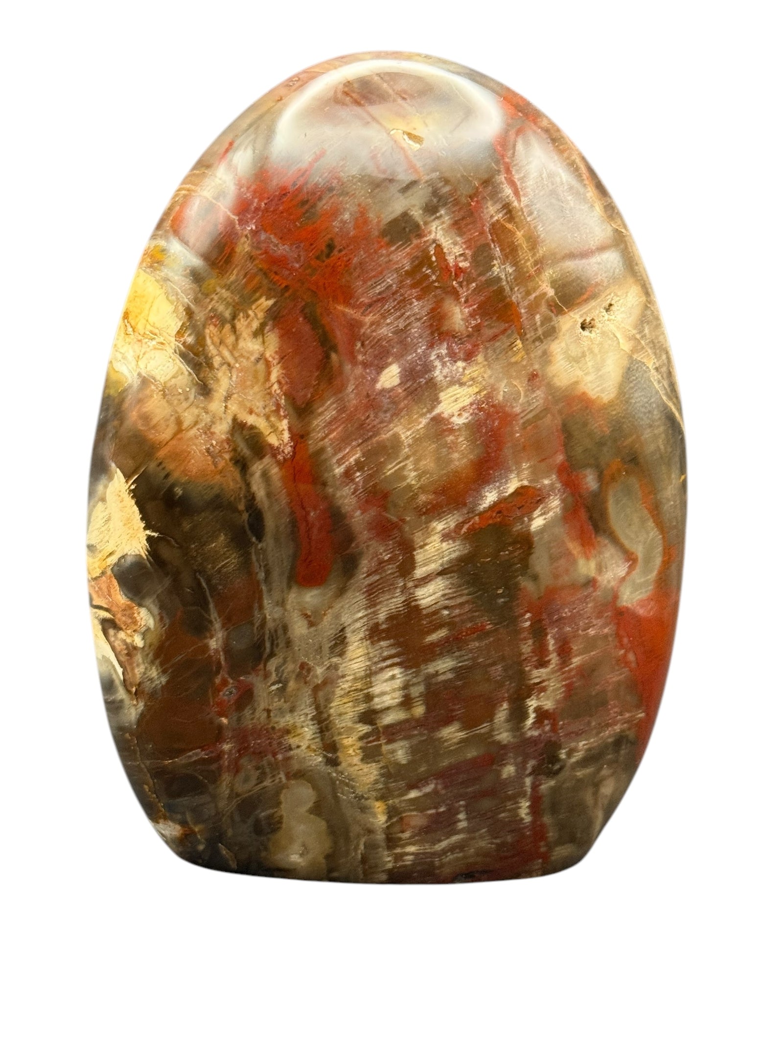 Petrified Wood free Form