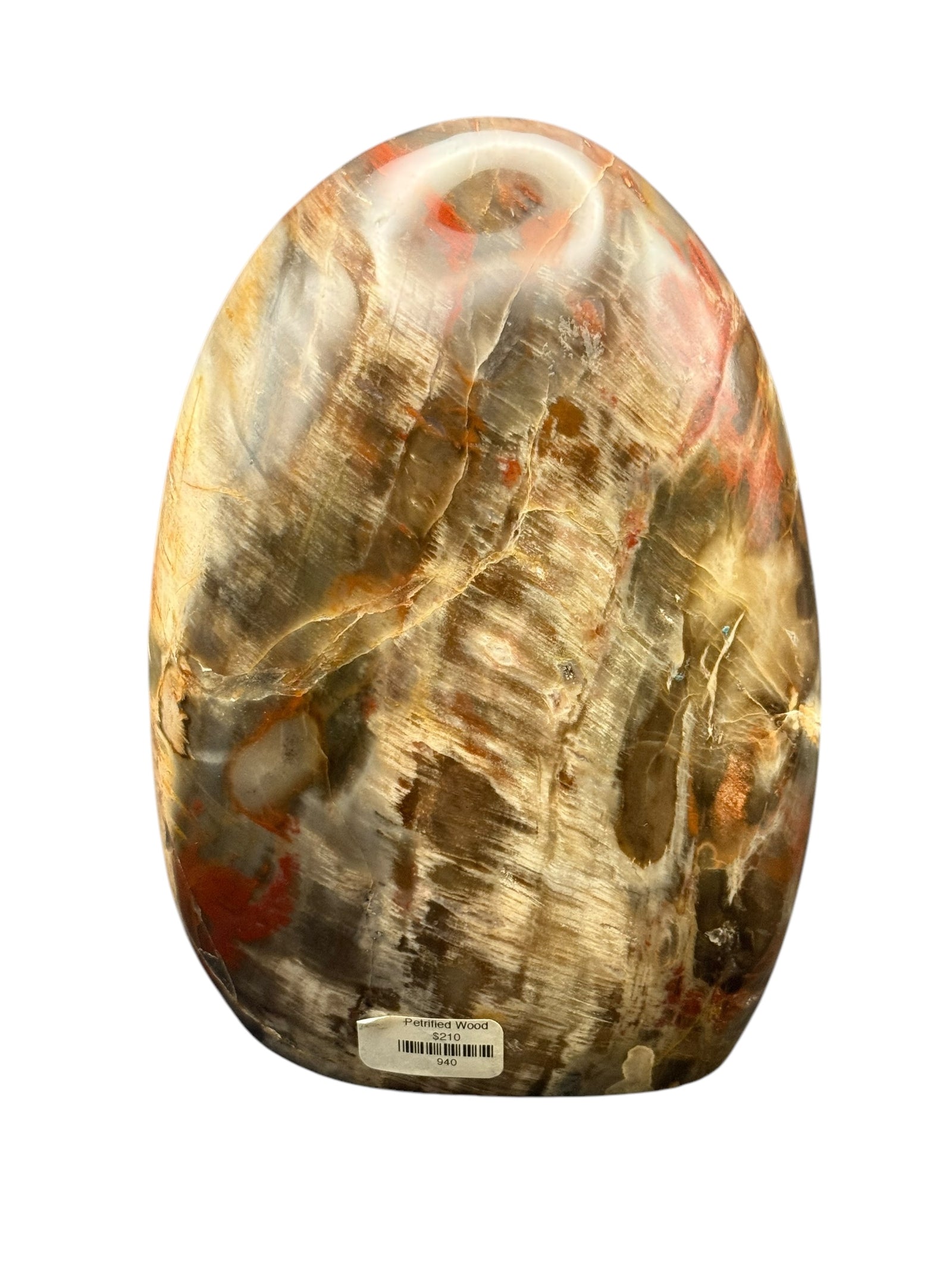 Petrified Wood free Form