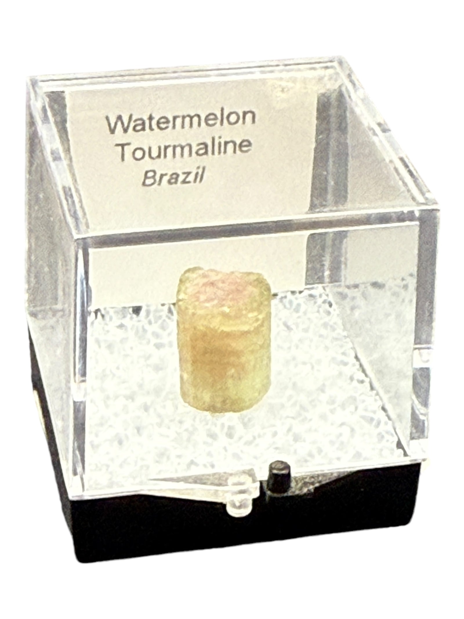Watermelon Tourmaline Specimen in Perky Box