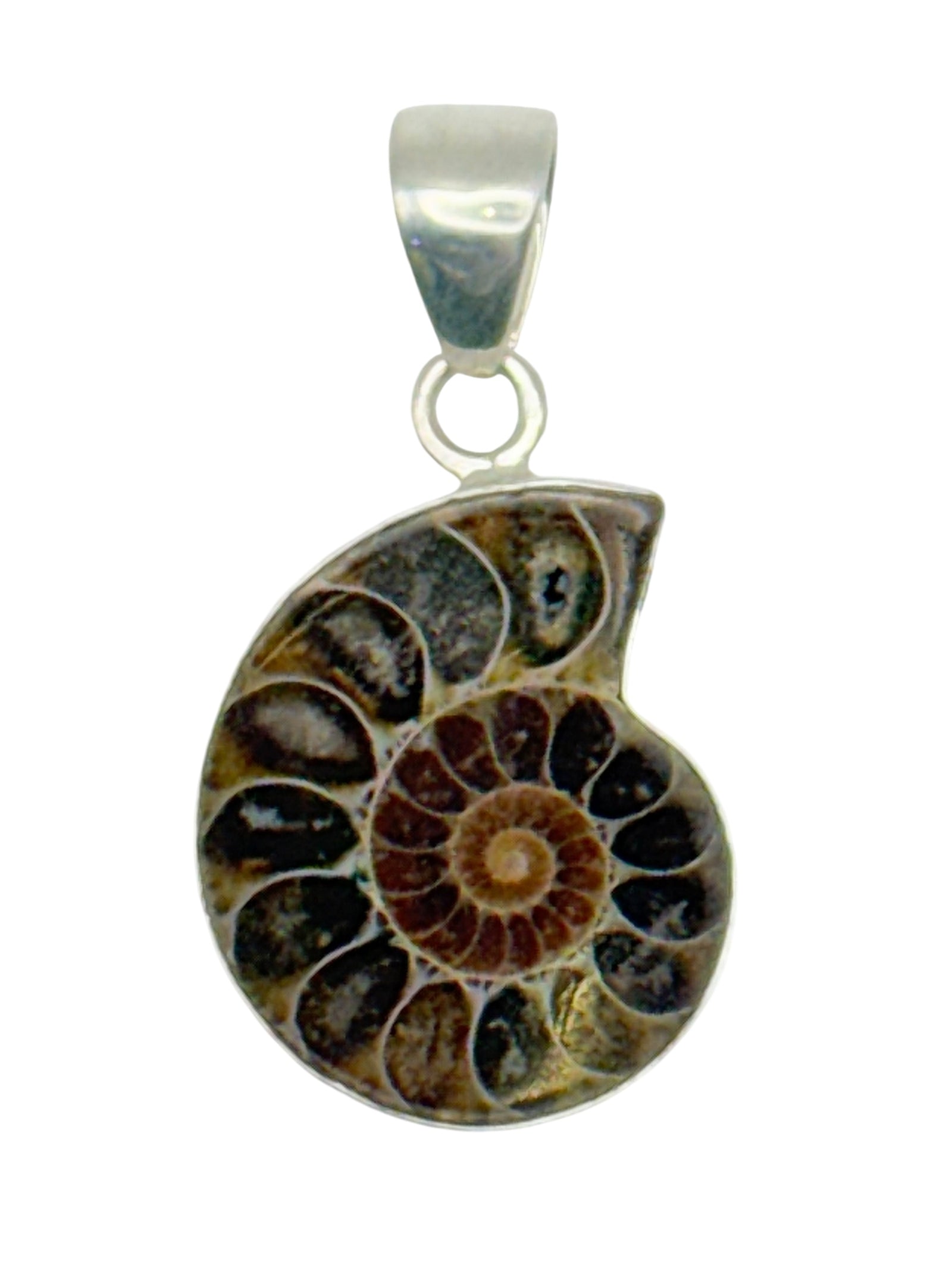 Sterling Silver Ammonite Fossil Pendant