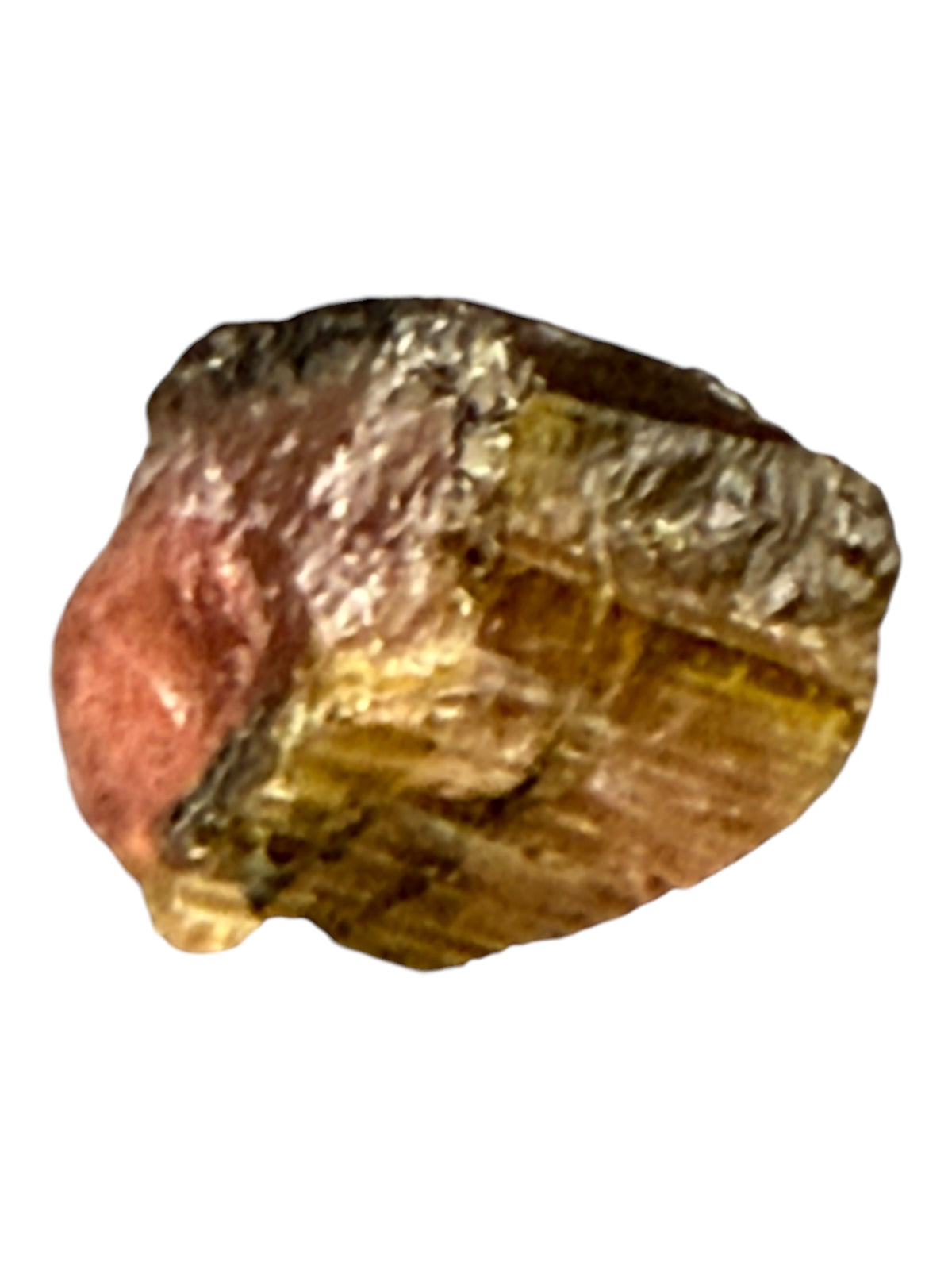 Watermelon Tourmaline Specimen in Perky Box