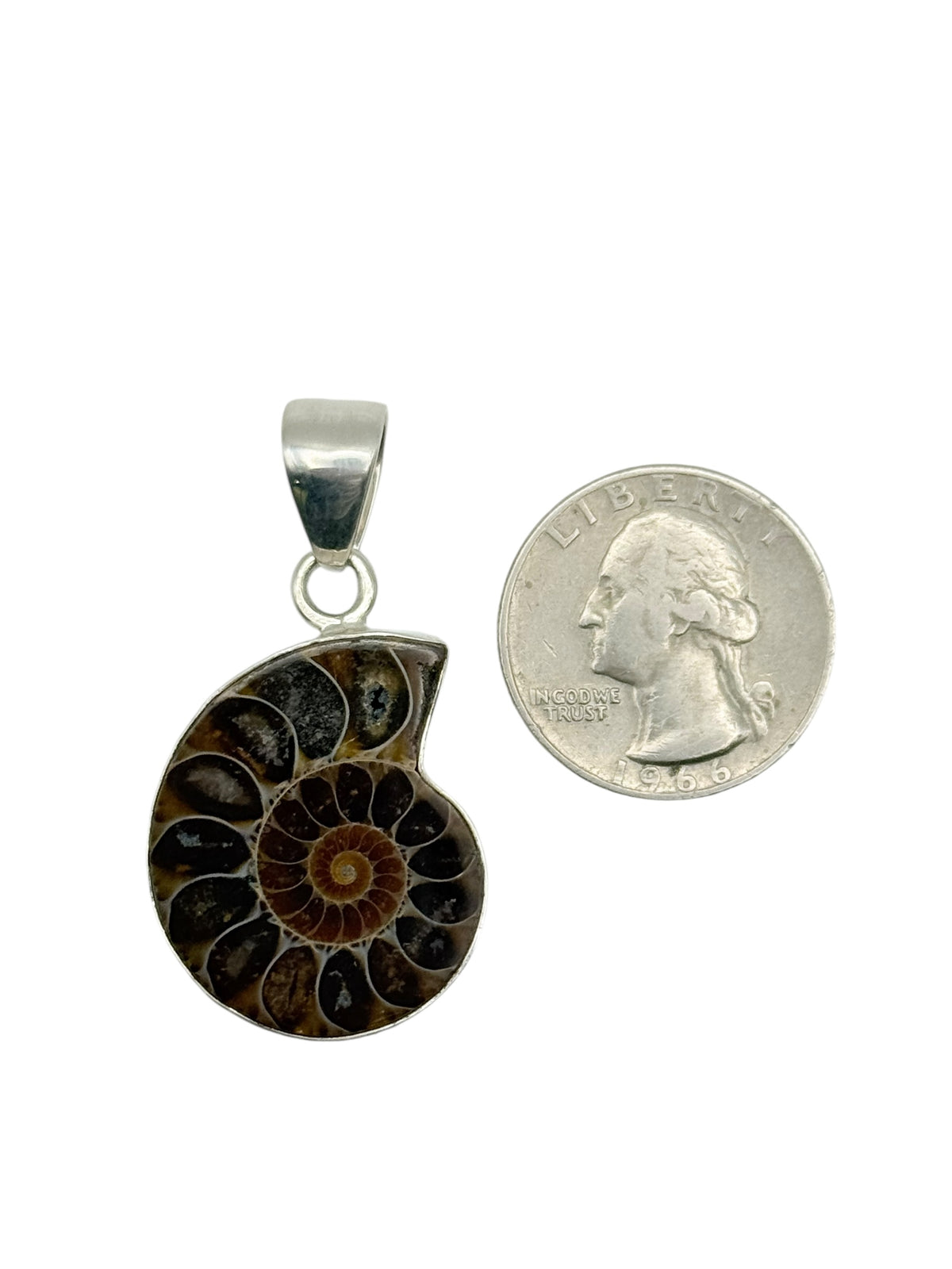 Sterling Silver Ammonite Fossil Pendant