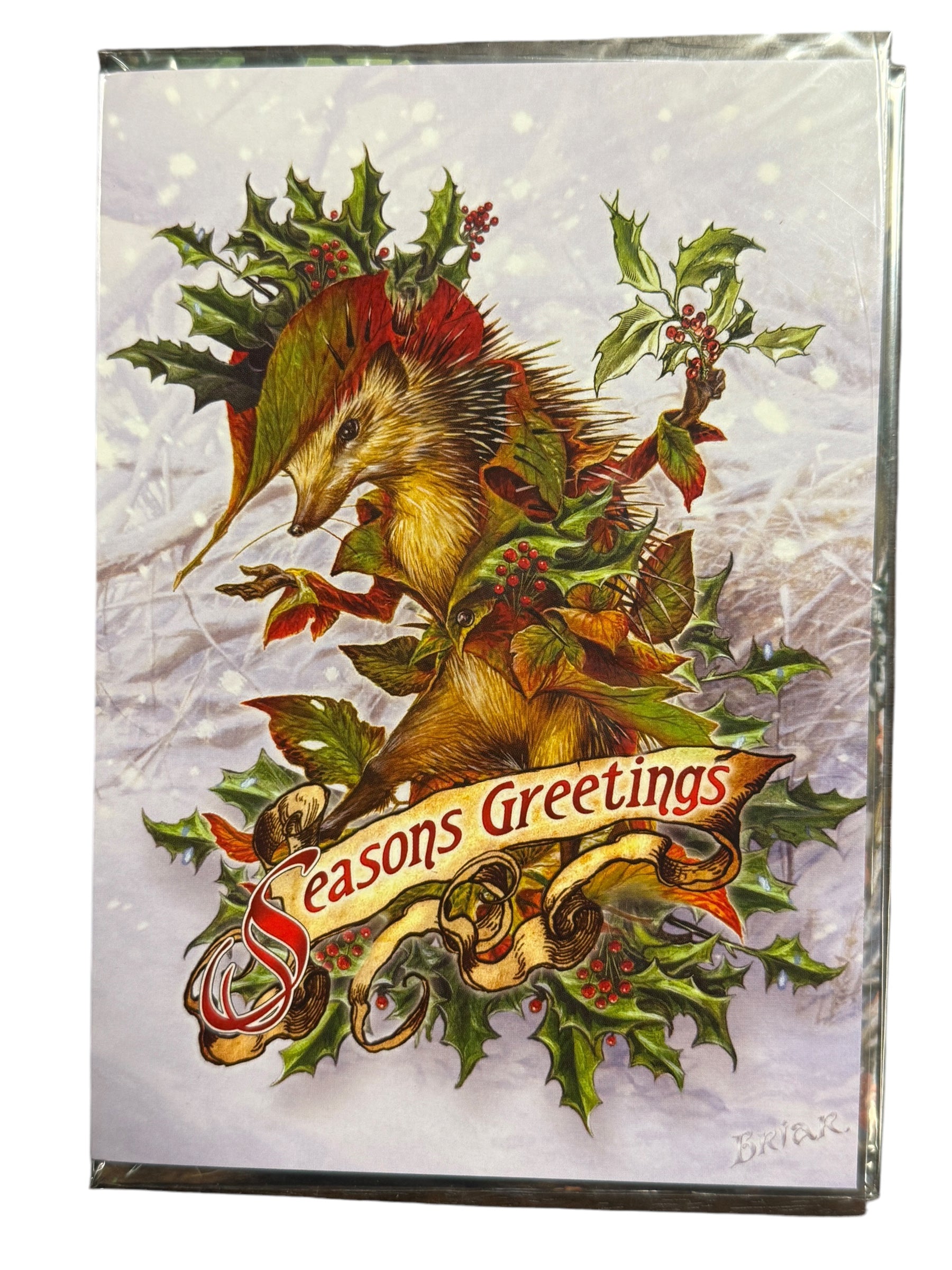 Holiday Cards