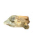 Clear Quartz Points with Chlorite