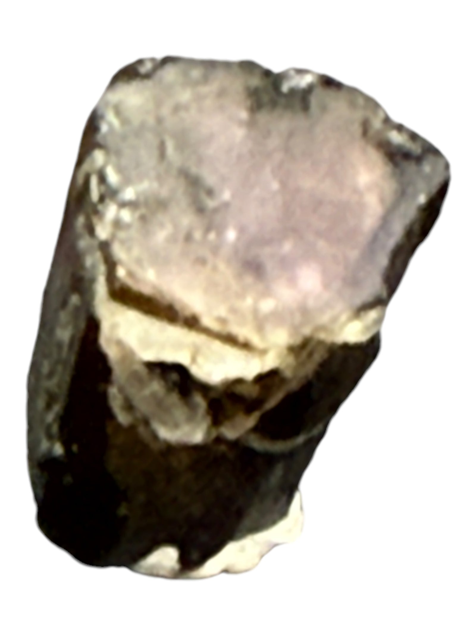 Watermelon Tourmaline Specimen in Perky Box