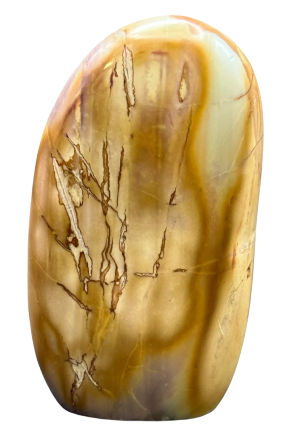 Polychrome (Desert) Jasper Free Form