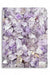 Amethyst Points & Rough