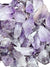 Amethyst Points & Rough