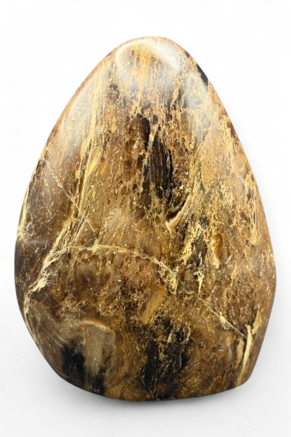 Black Opal Polished Free Form