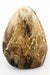 Black Opal Polished Free Form