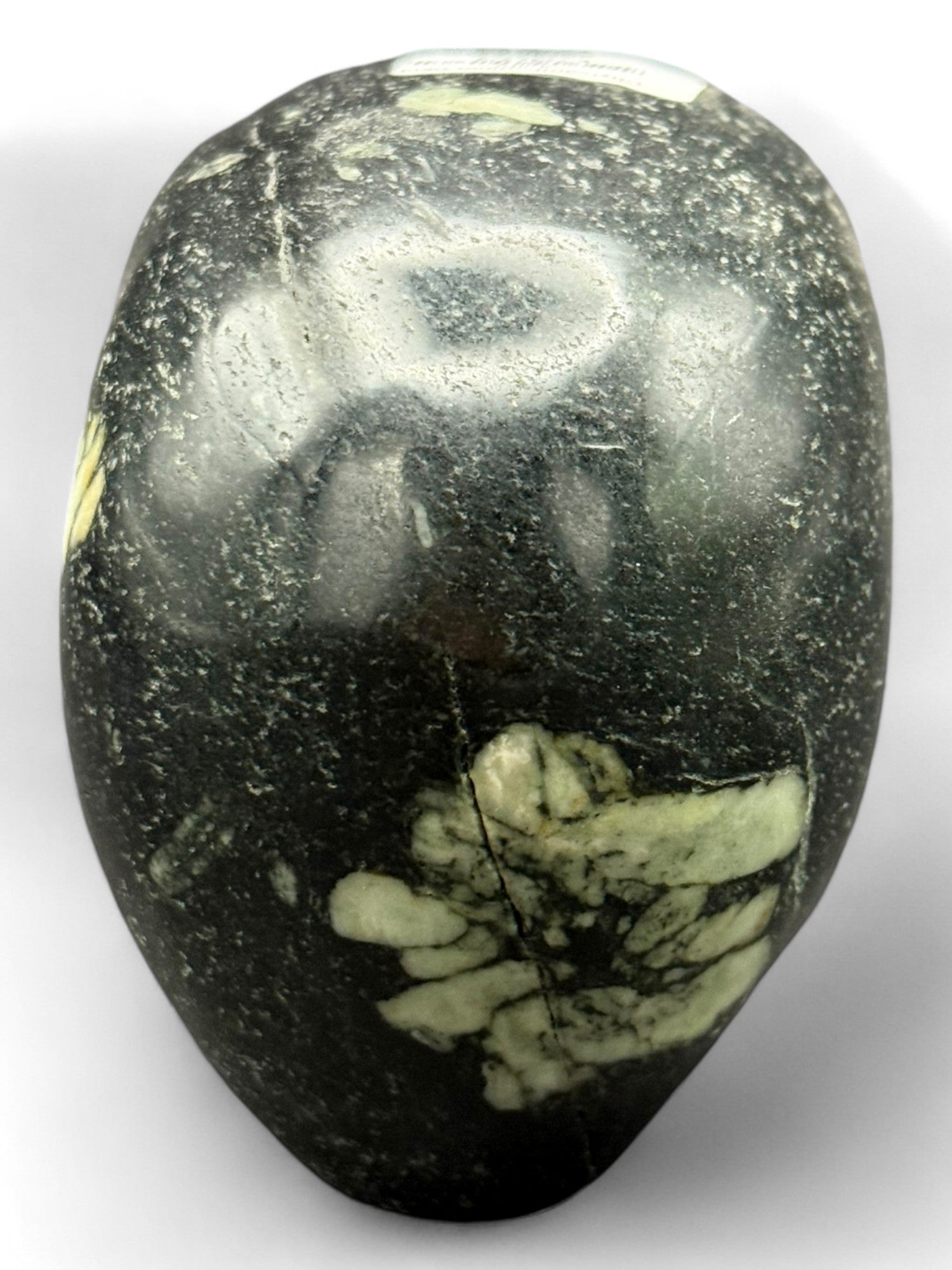 Crystal Skull Chrysanthemum Stone