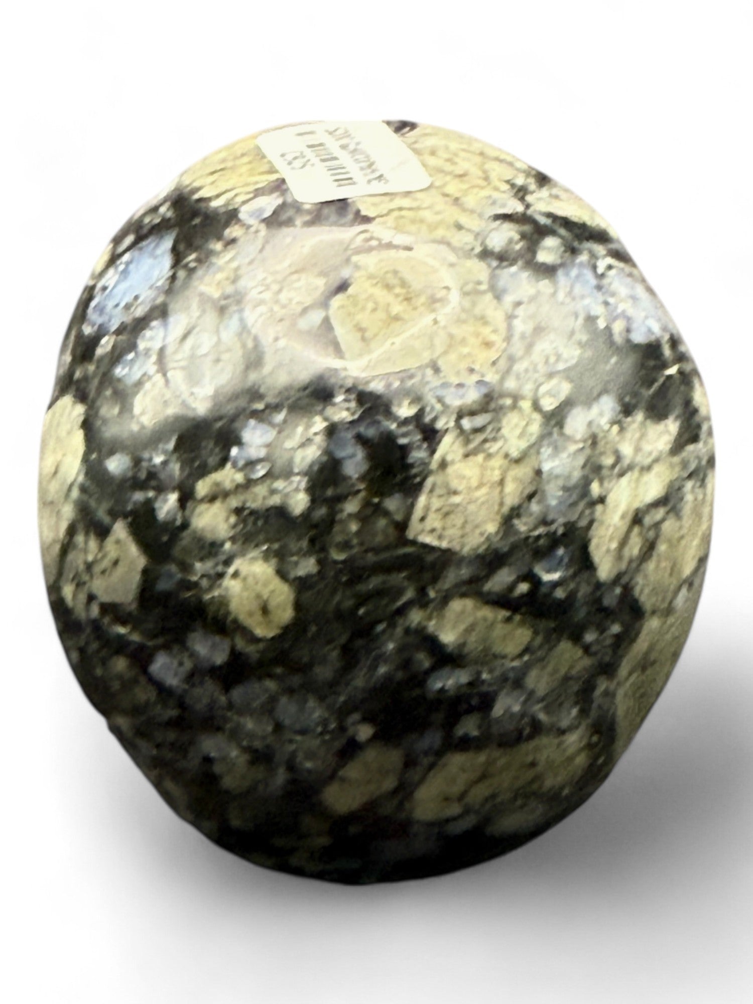 Crystal Skull Glaucophane