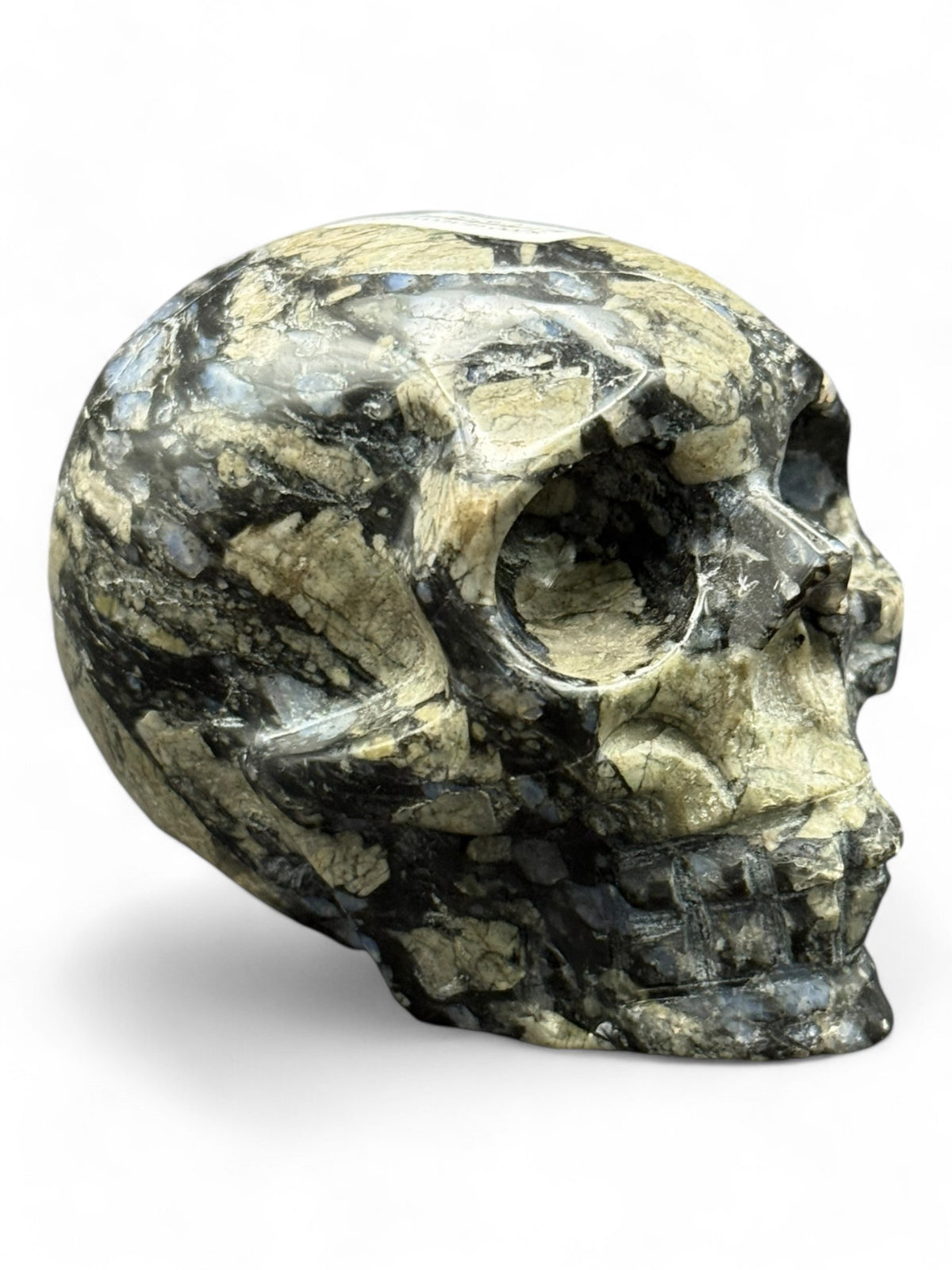 Crystal Skull Glaucophane