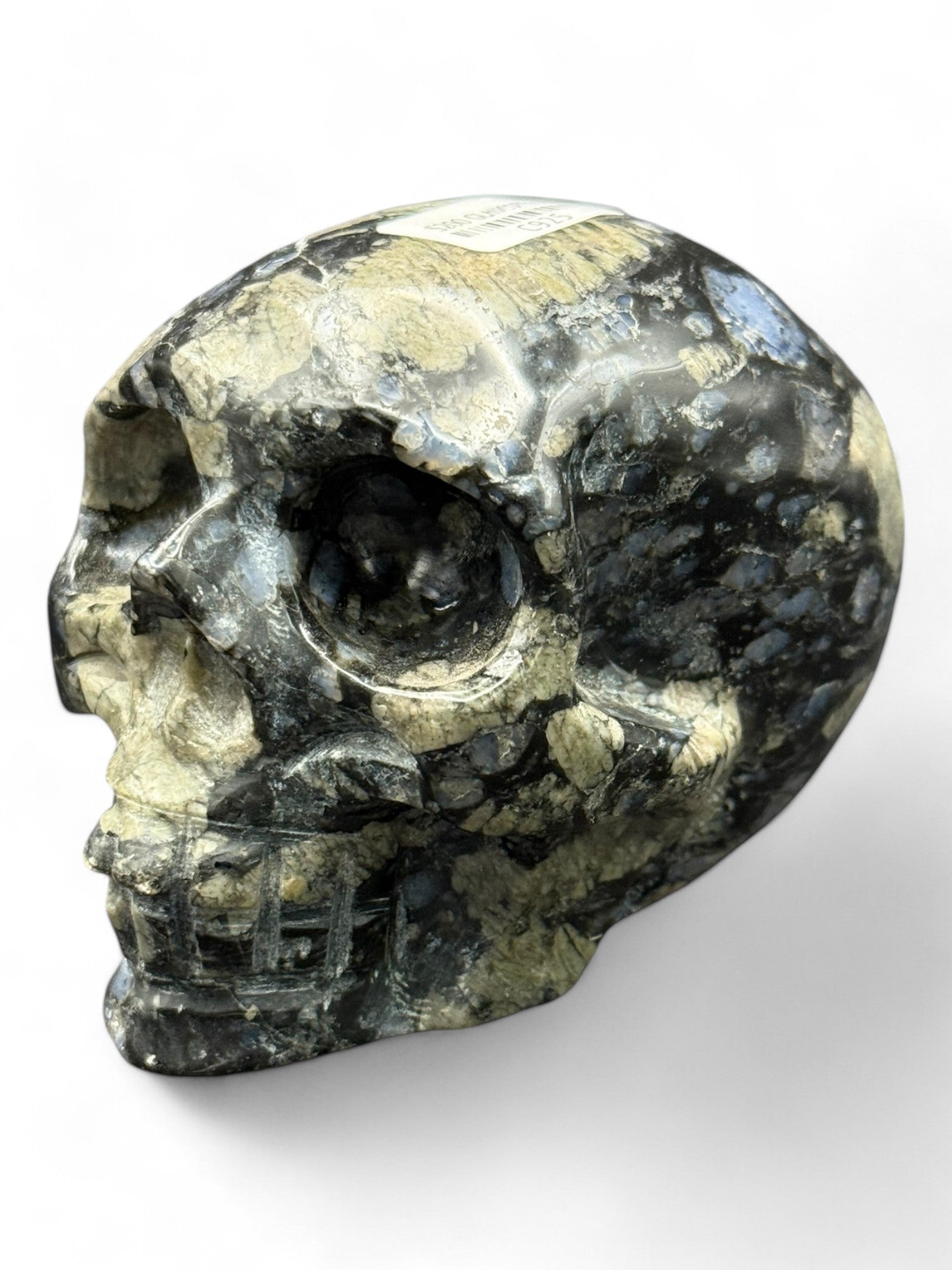 Crystal Skull Glaucophane
