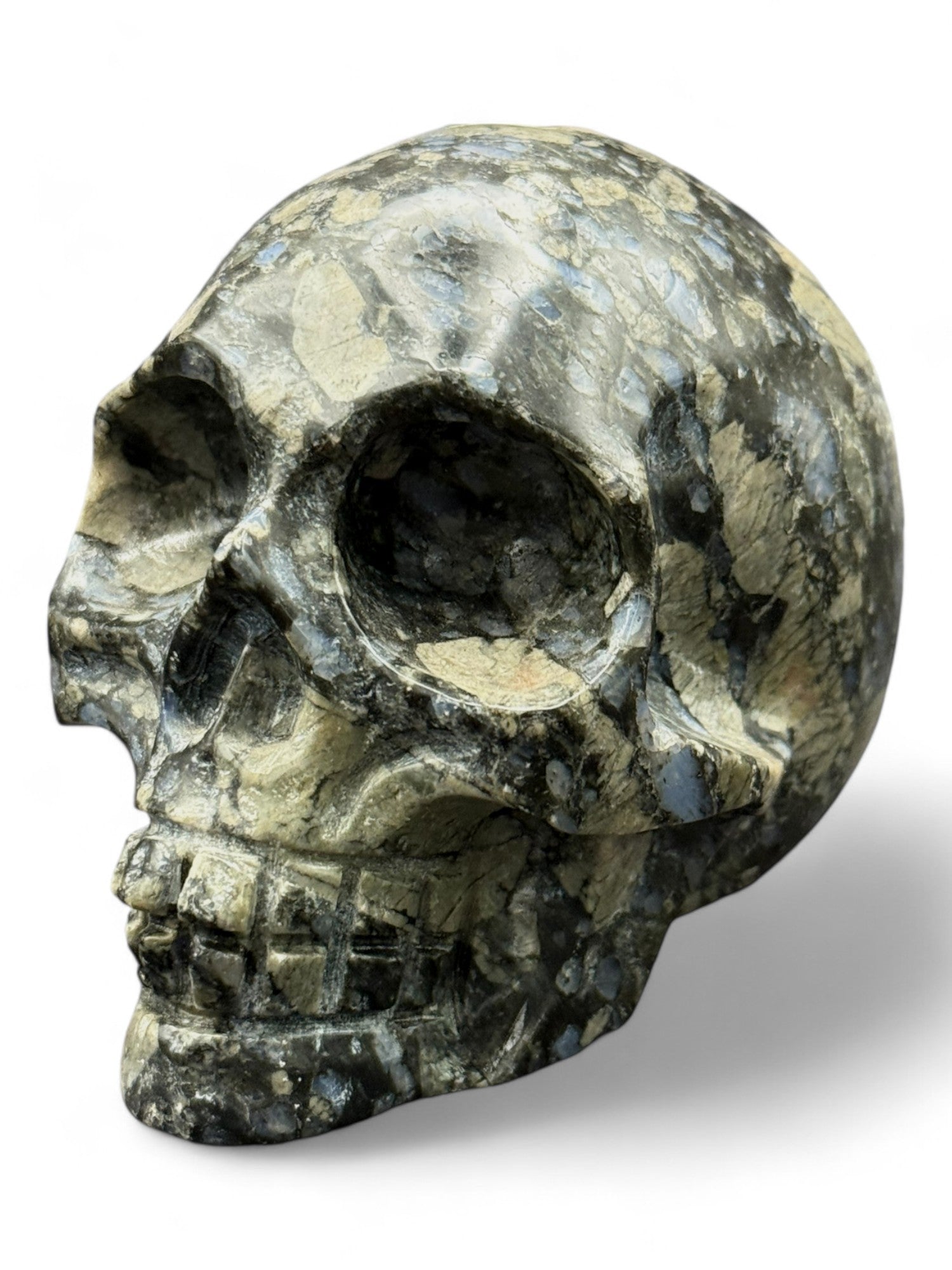 Crystal Skull Glaucophane