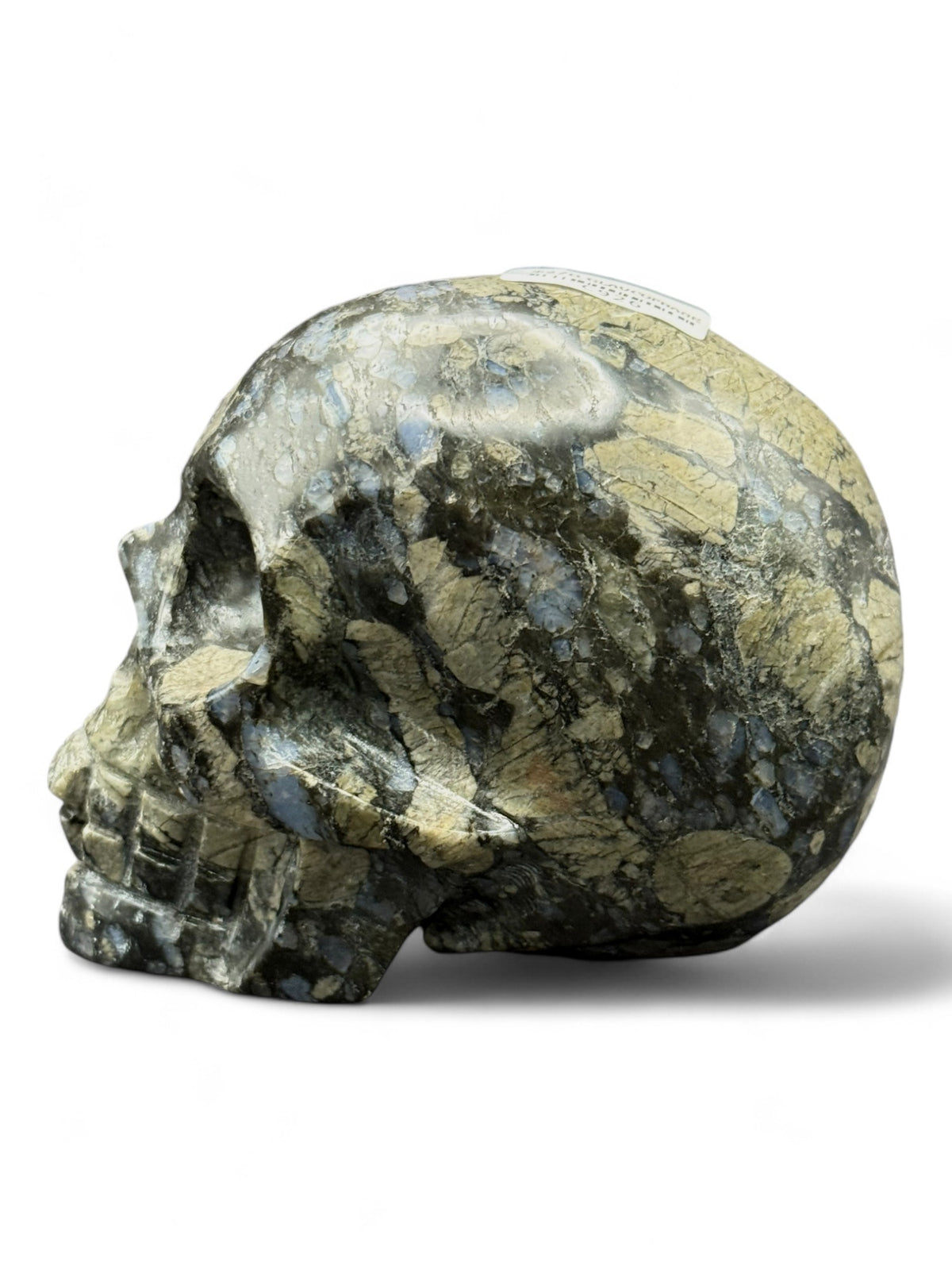 Crystal Skull Glaucophane