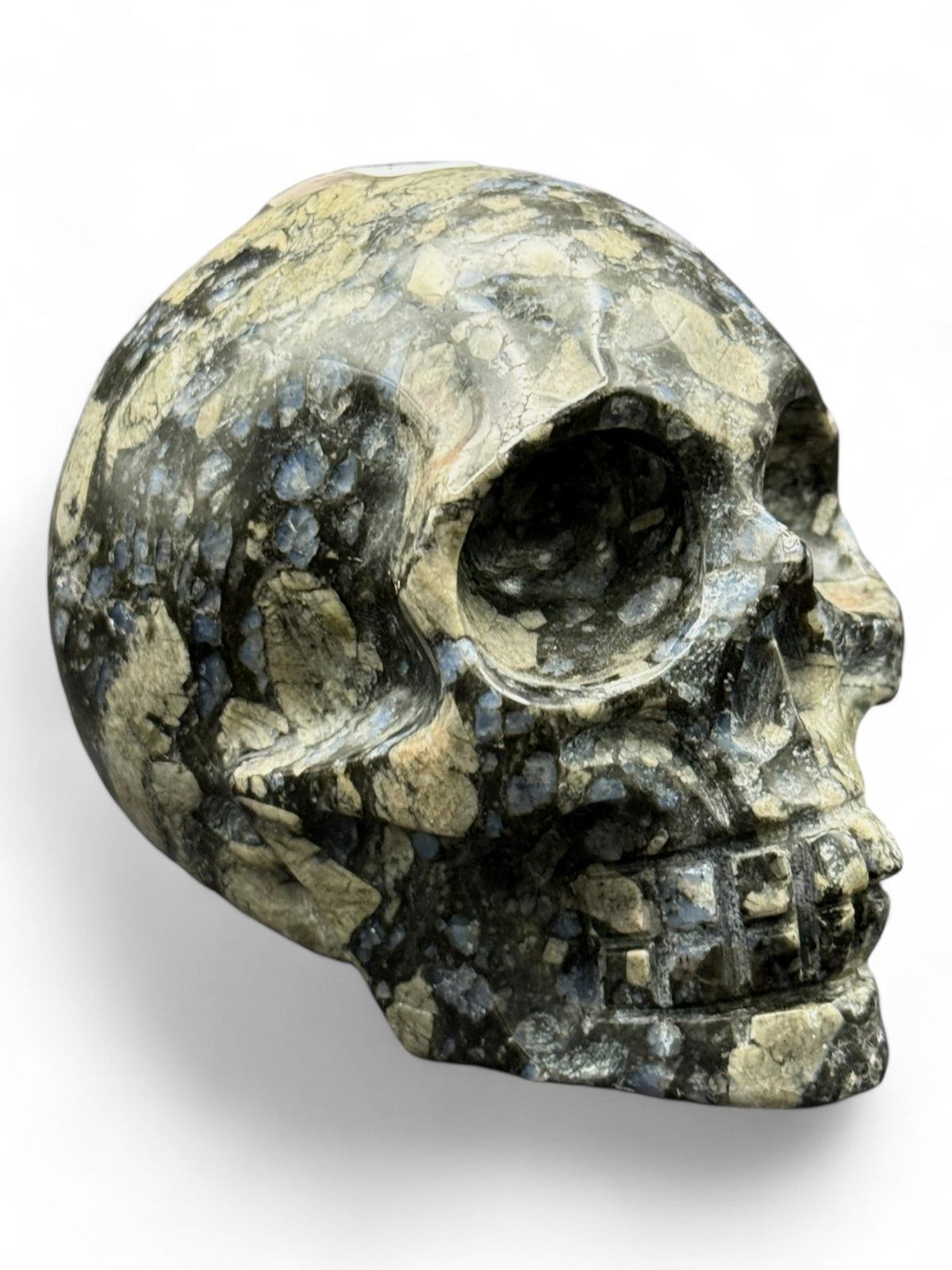 Crystal Skull Glaucophane