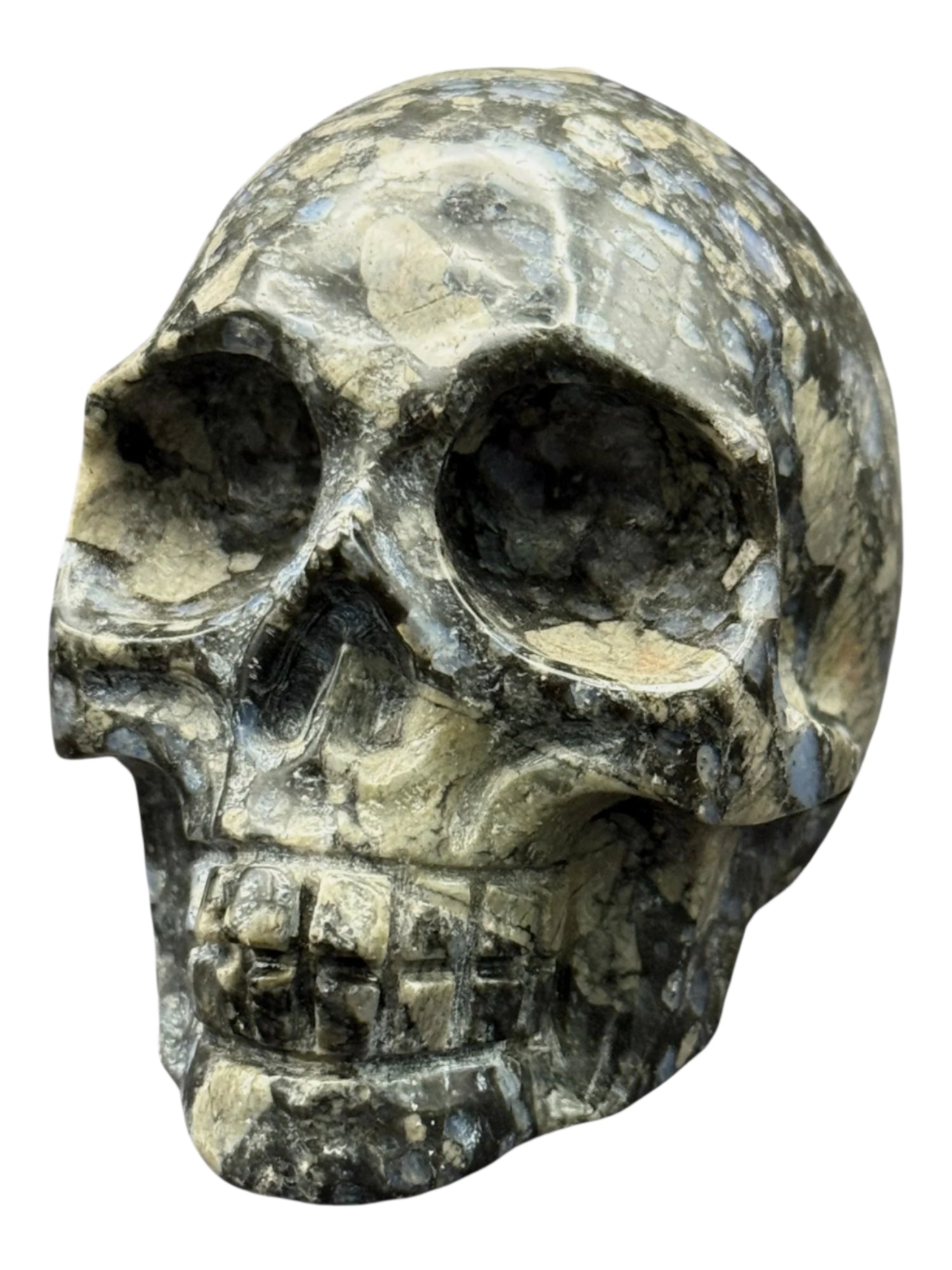 Crystal Skull Glaucophane