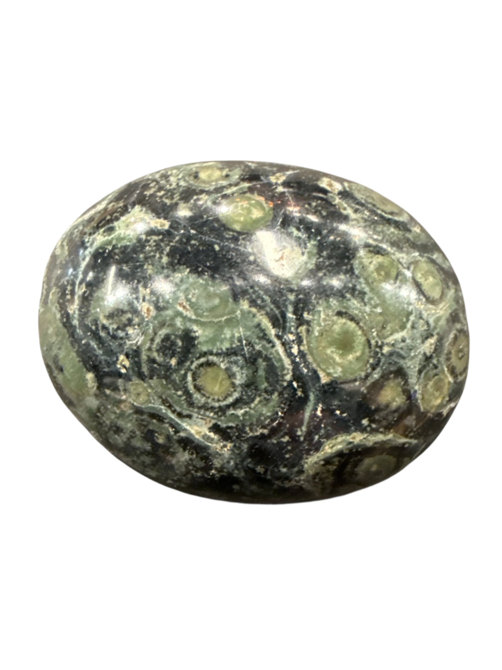 Kambaba Jasper Palm Stone