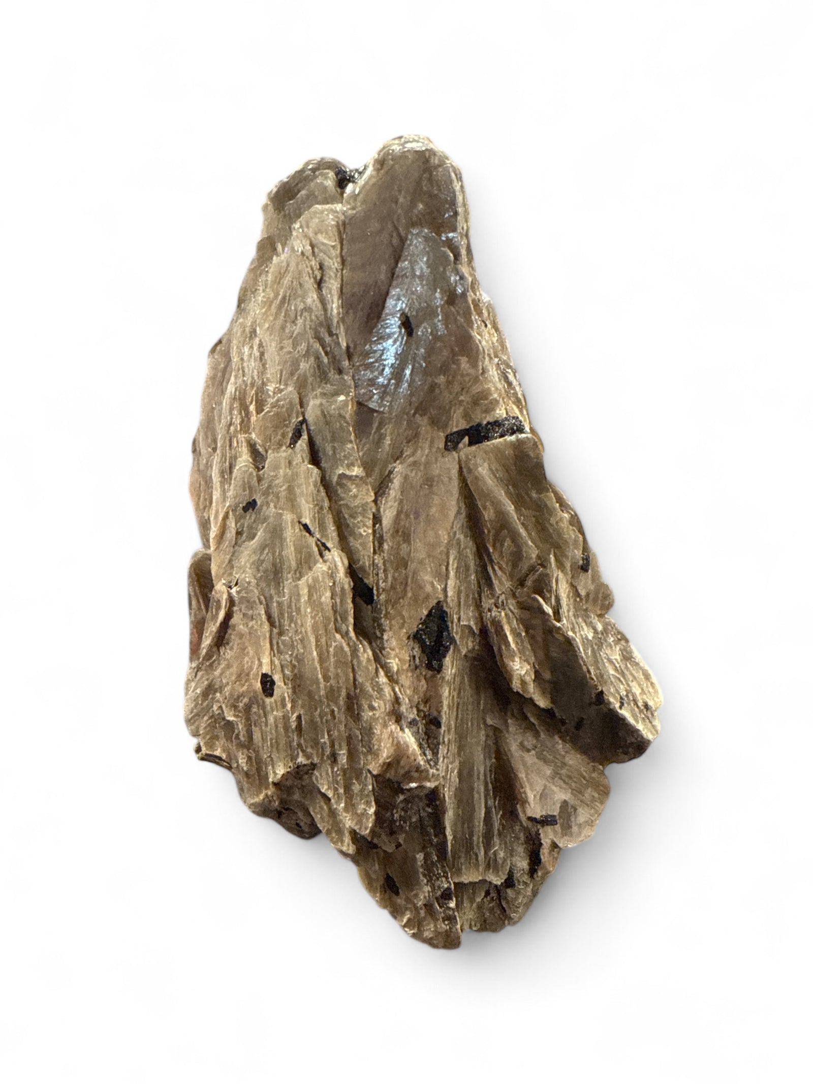 Muscovite (Gold Mica) Rough