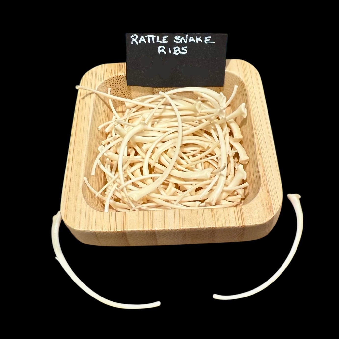 Rattle Snake Rib Bone