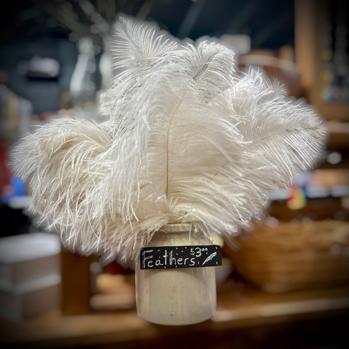 Feathers