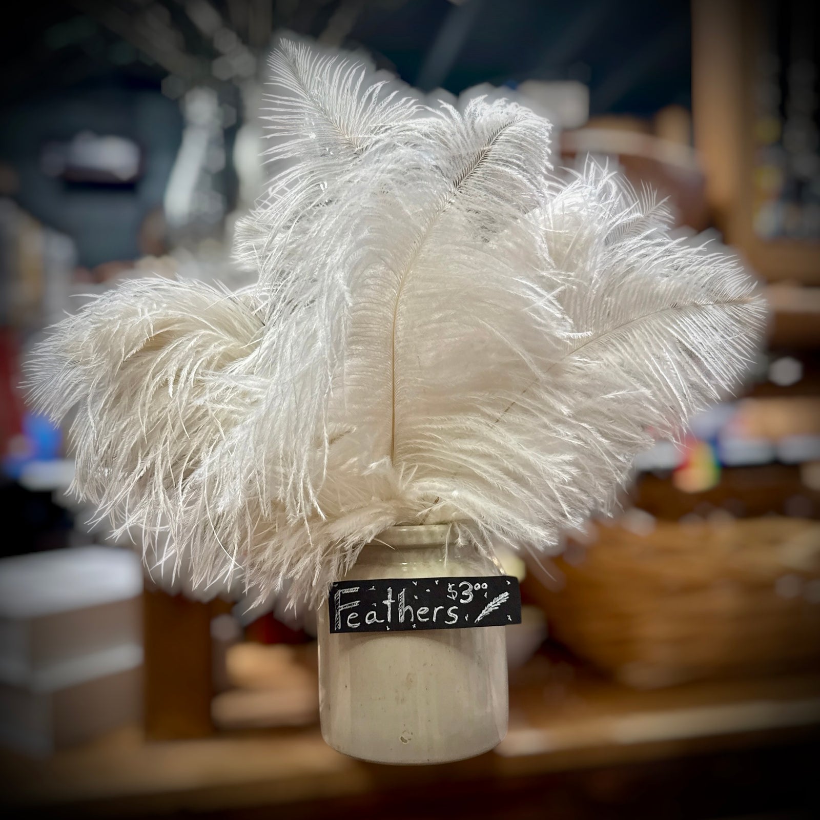 Feathers