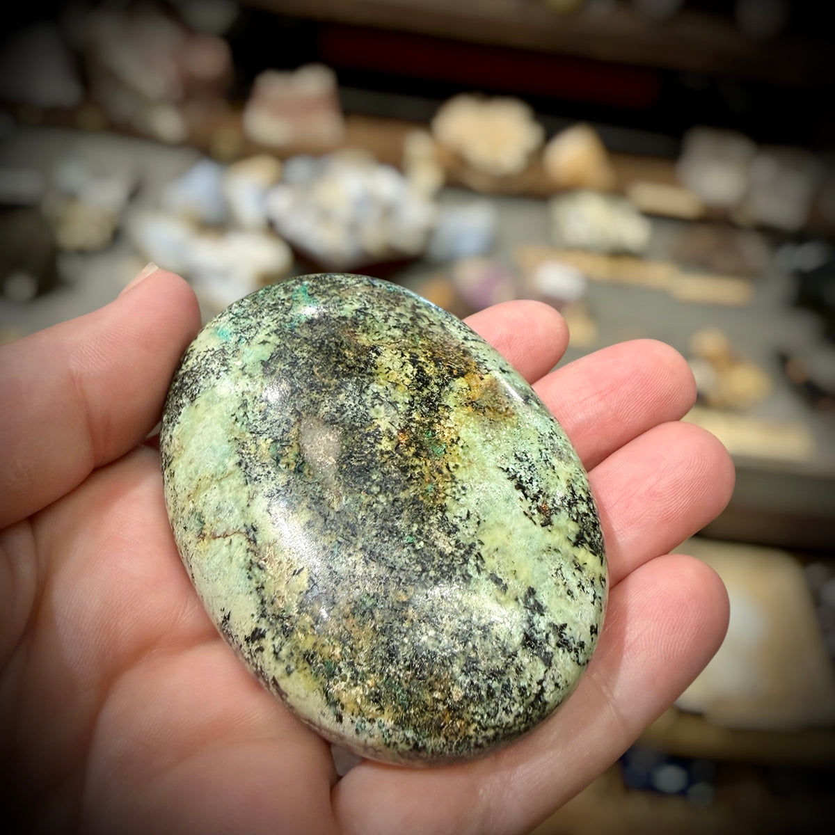 Palm Stone African Turquoise