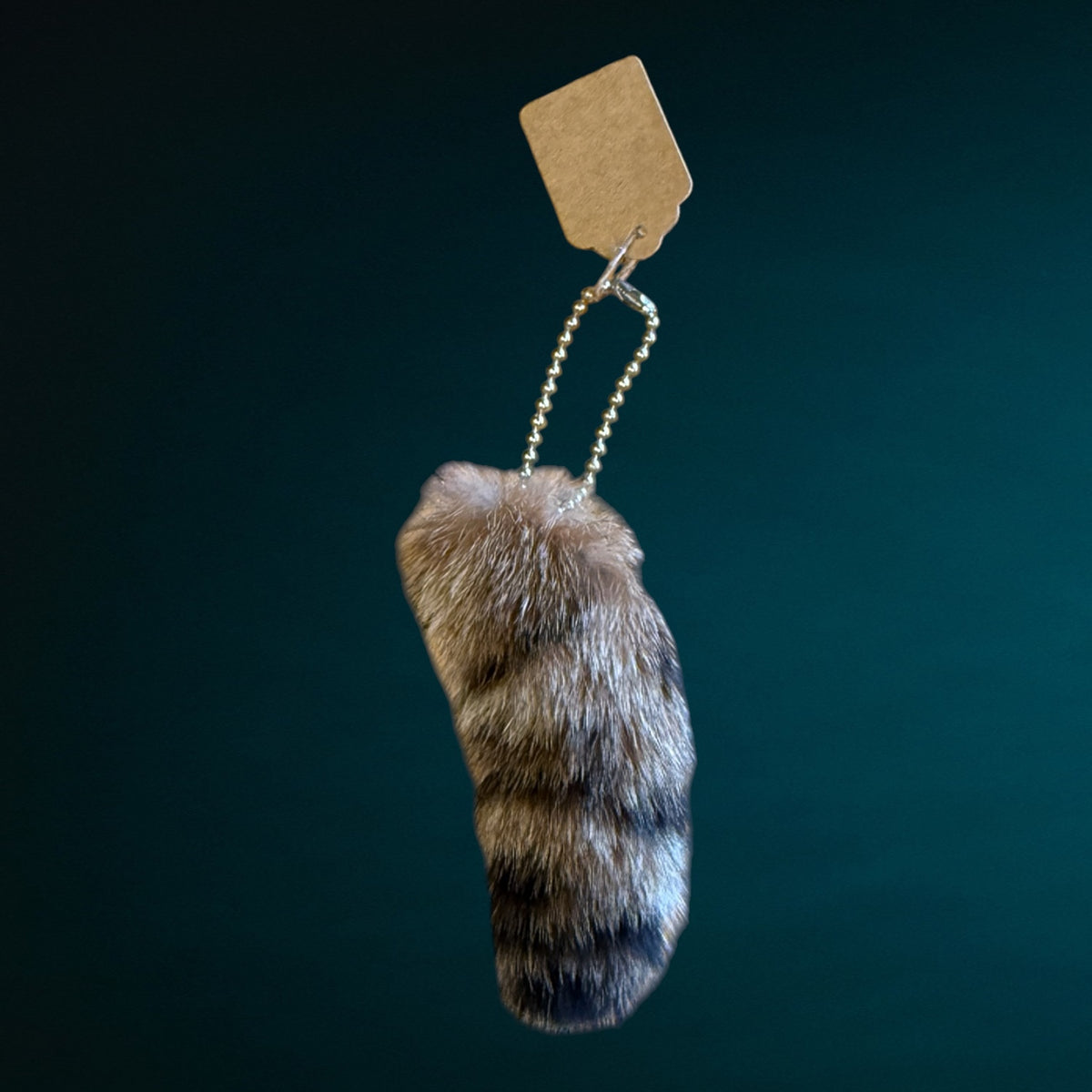 Lynx Tail