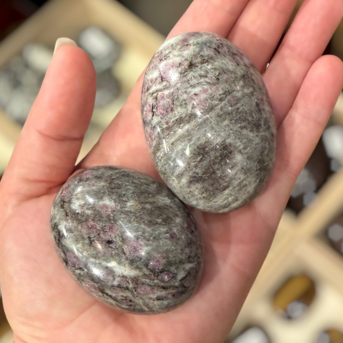 Garnet in Astropholite Palm Stone