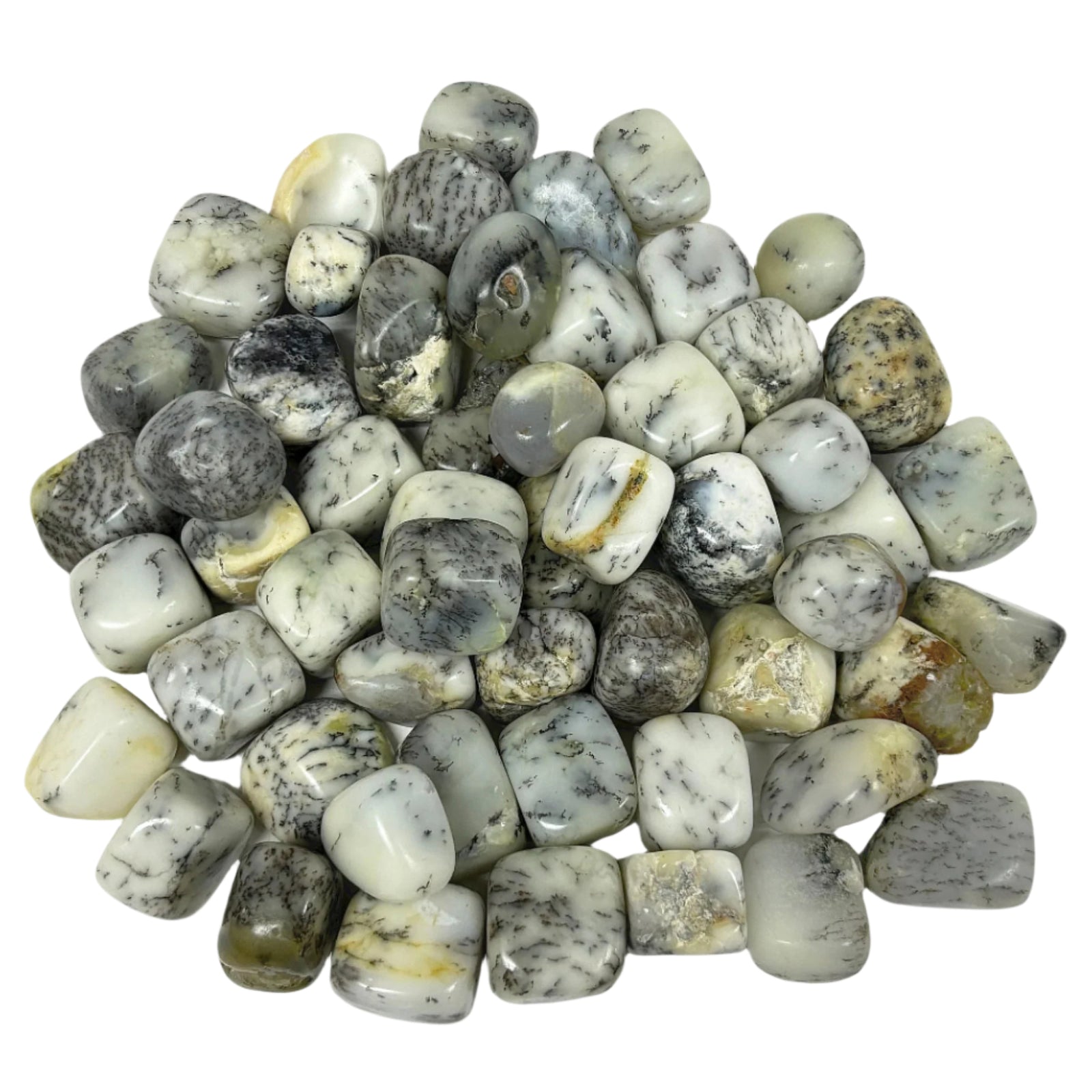 Dendritic Opal Tumbled