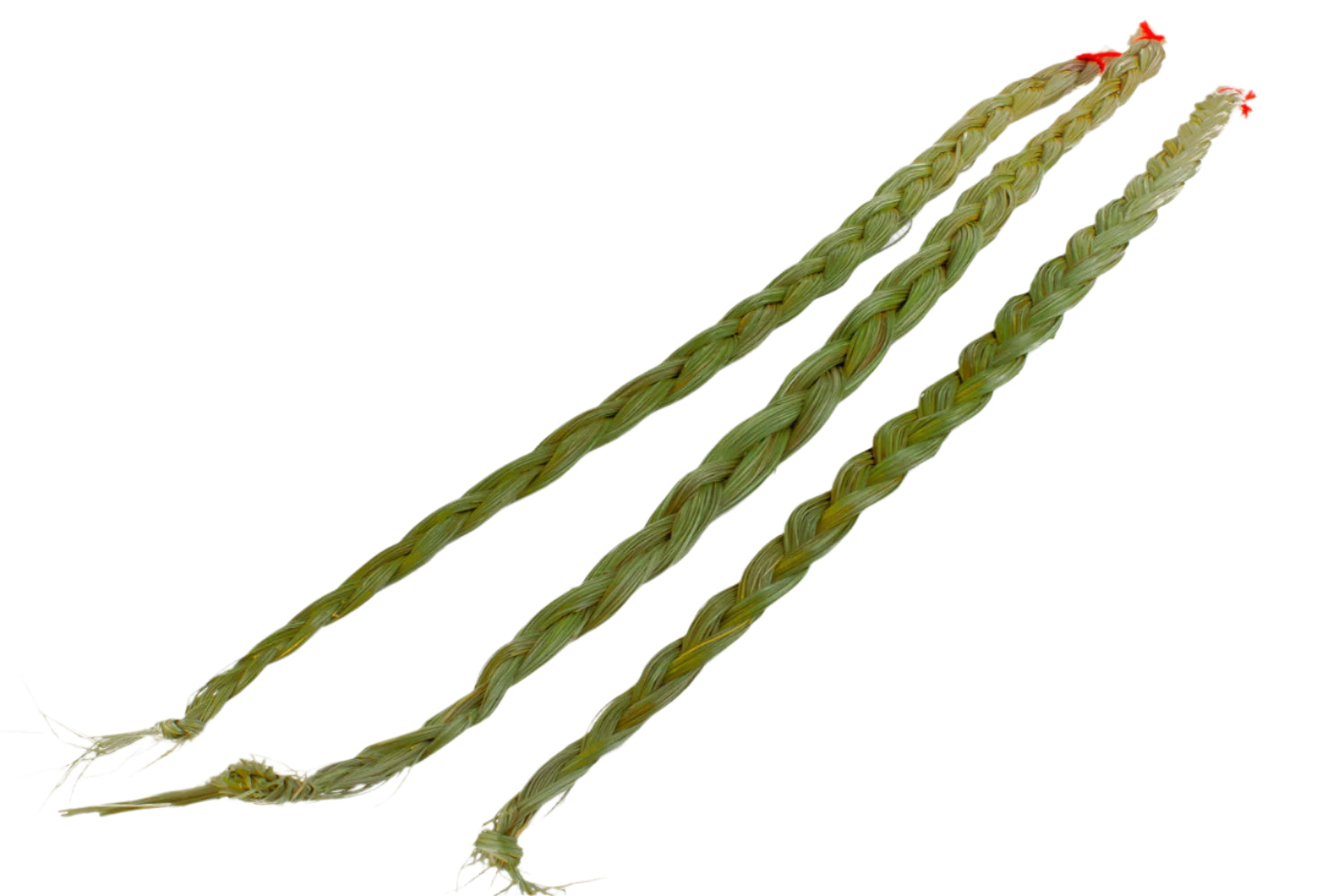 Sweetgrass