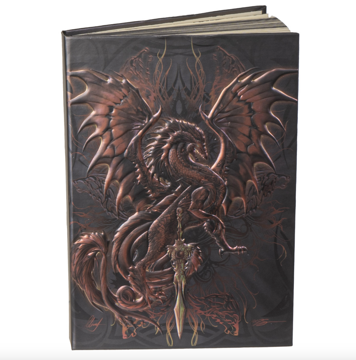 Dragon Blade Journals