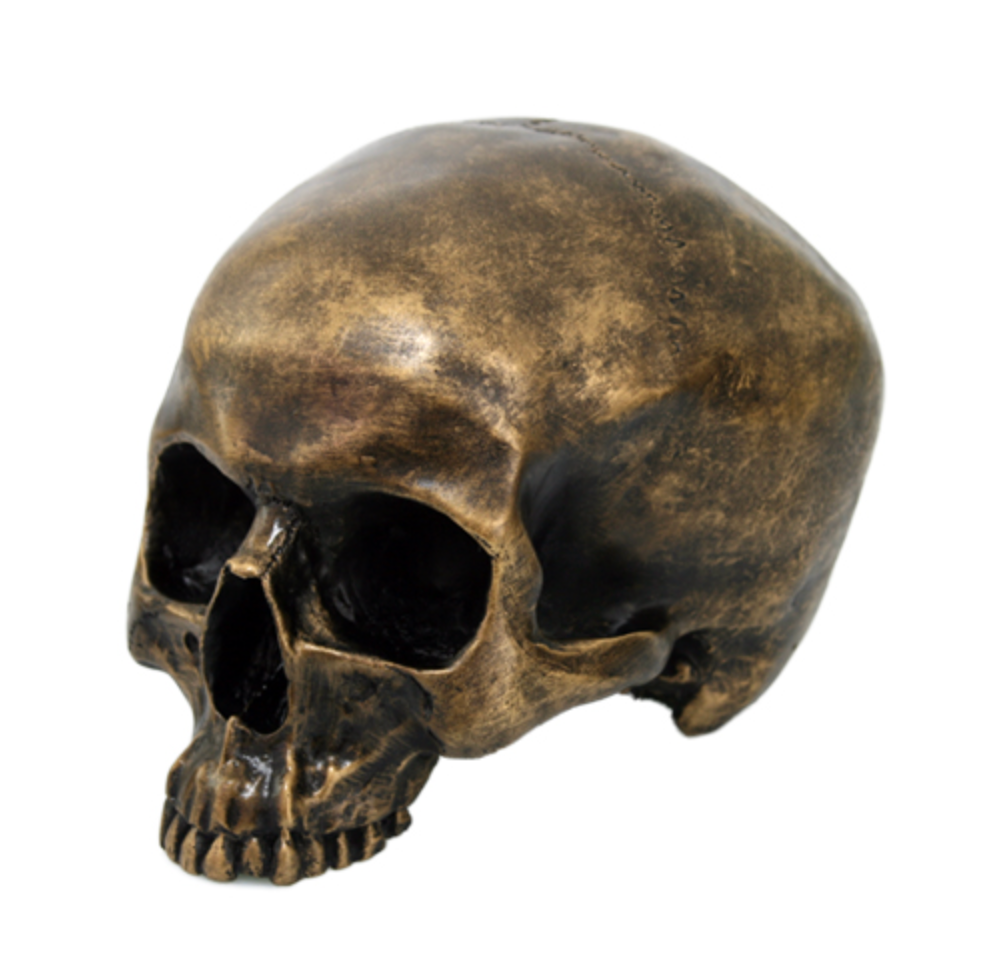 Gold Brush Skull