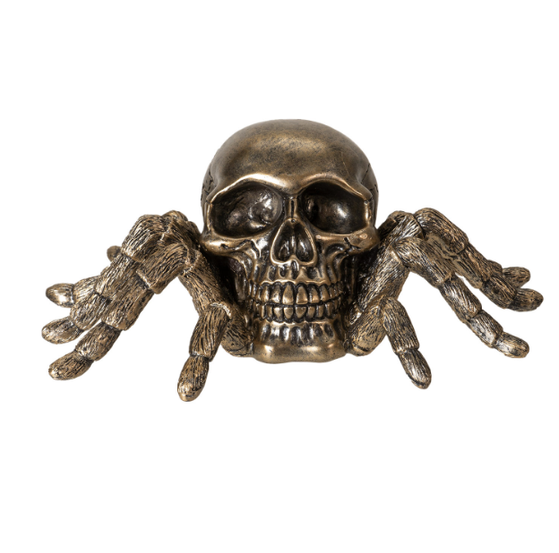 Spider Skull