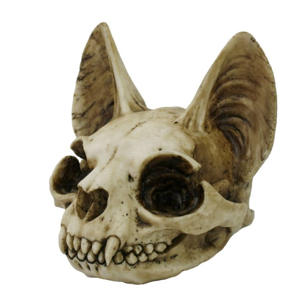 Bastet Cat Skull