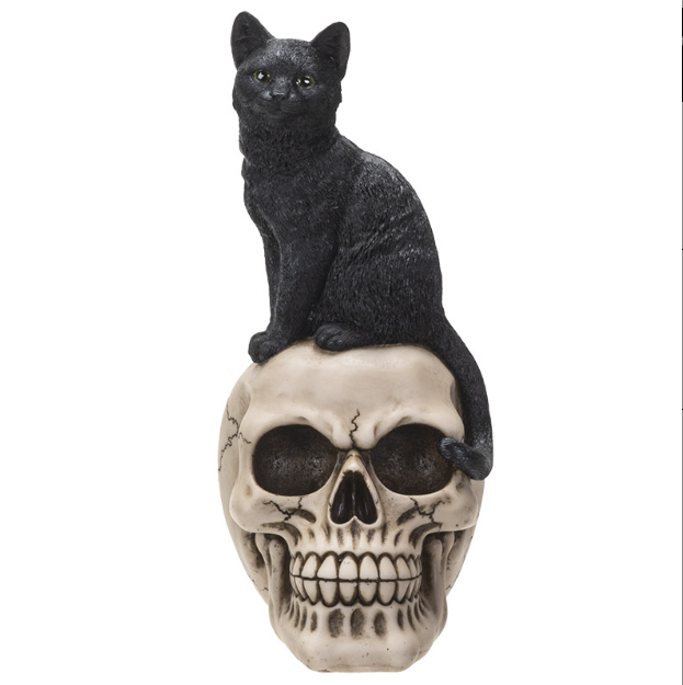Black Cat on Skull Statue