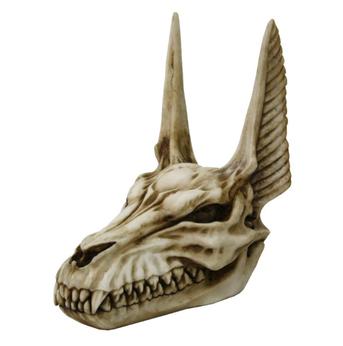 Anubis Skull