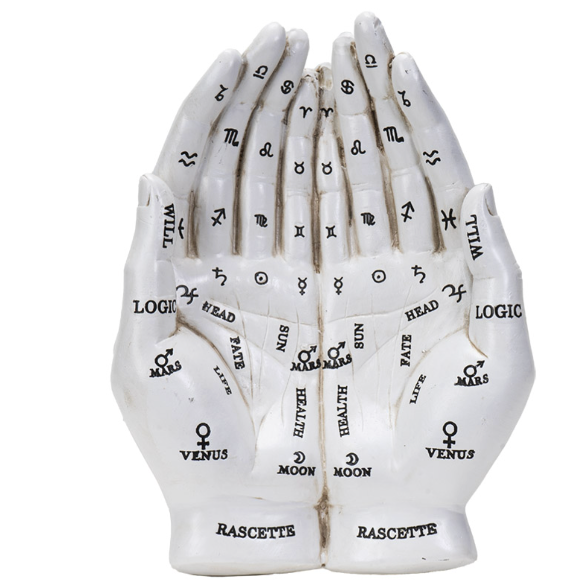 Palmistry Hands Holder Statue / Bowl