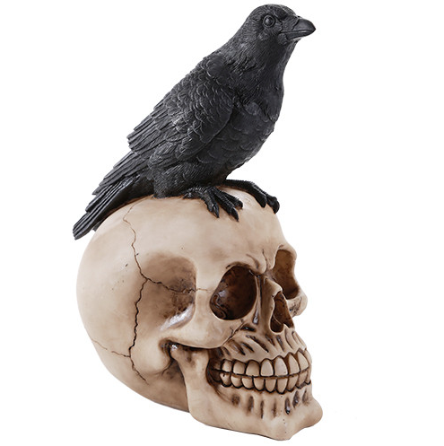 Black Bird on Skull