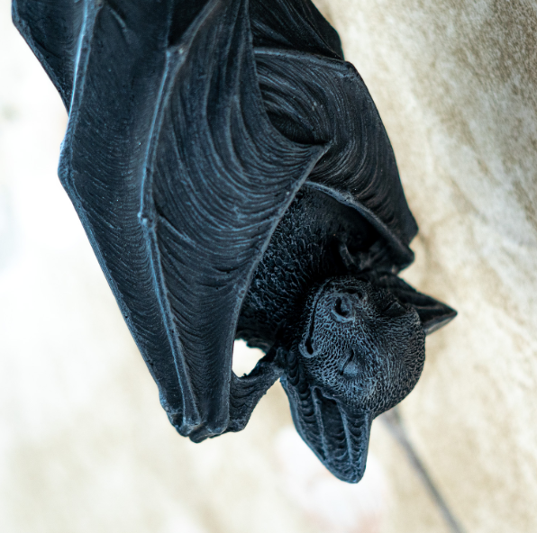 Hanging Bat Wall Plaque Statue