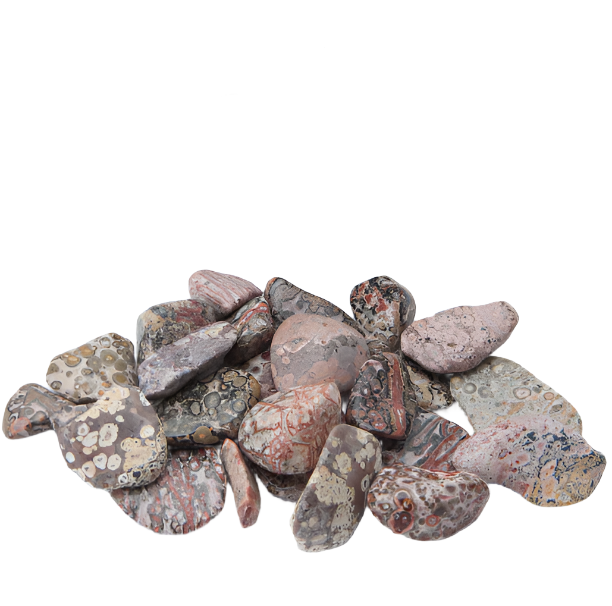 Leopardskin Jasper Tumbled
