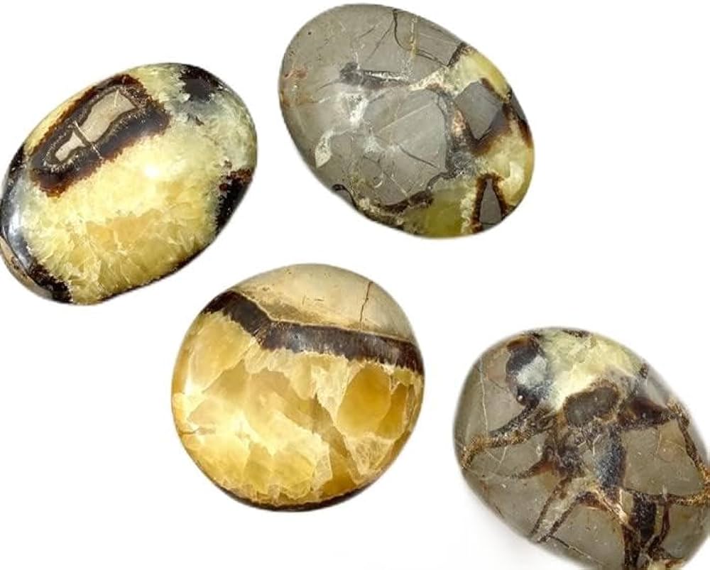 Septarian Palm Stone