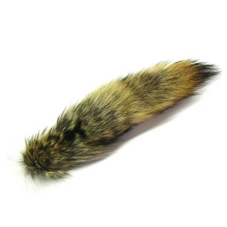 Coyote Tail