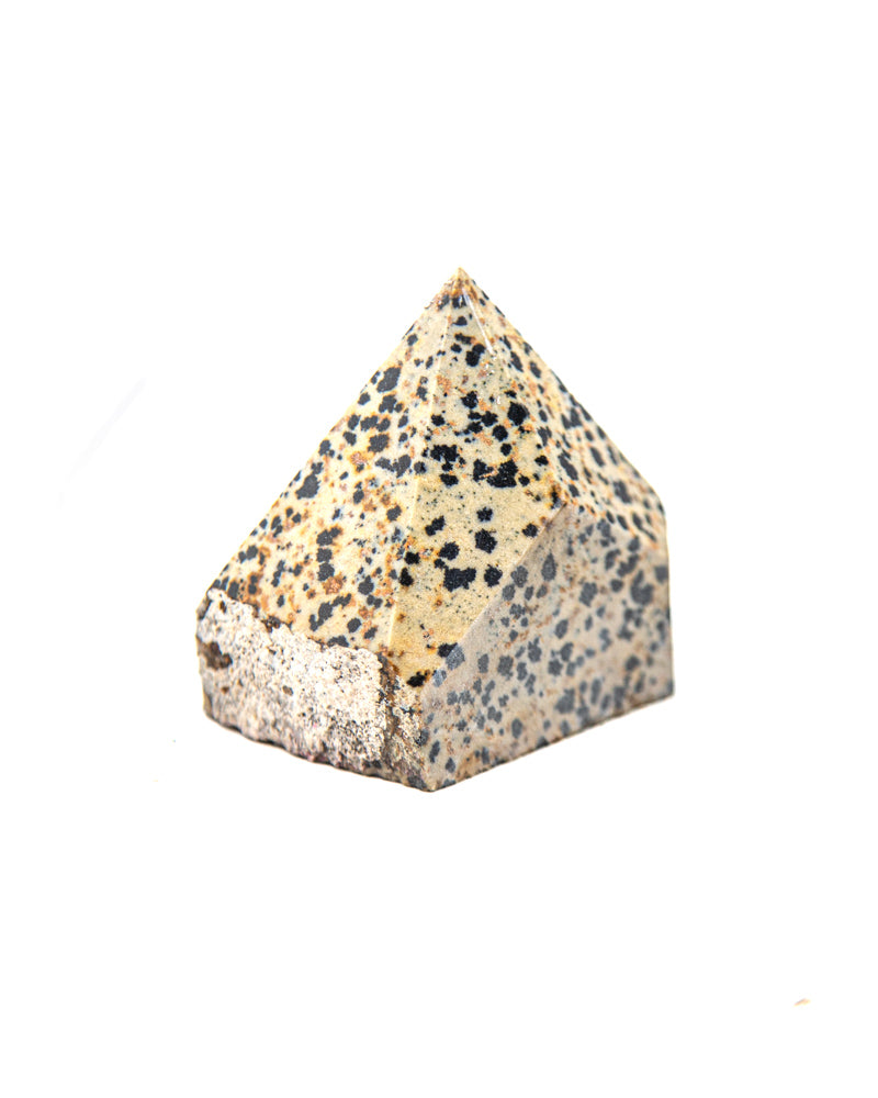 Dalmation Jasper Power Point