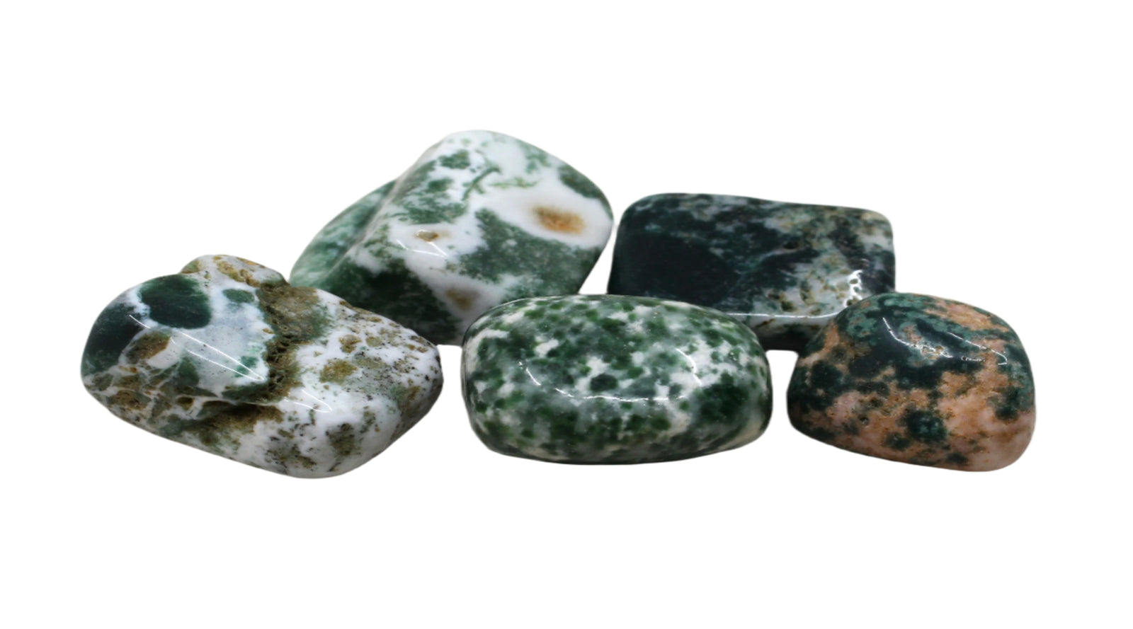 Tree Agate Tumbled